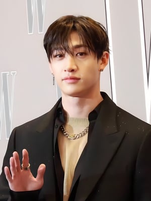 This is the Avatar Image for the Stray Kids Bang Chan AI Voice and Text to Speech Generator
